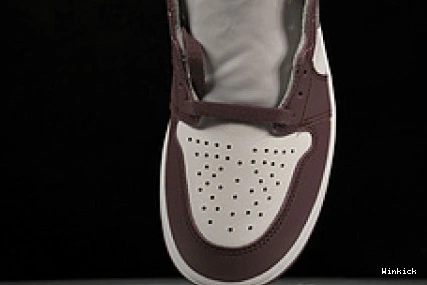 High “Mauve” DZ5485-105 Jordan OG 1 1113